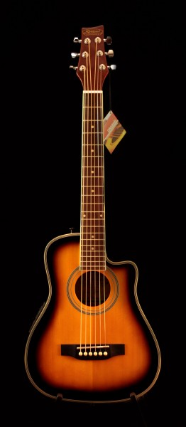 Kirkland Traveller Guitar