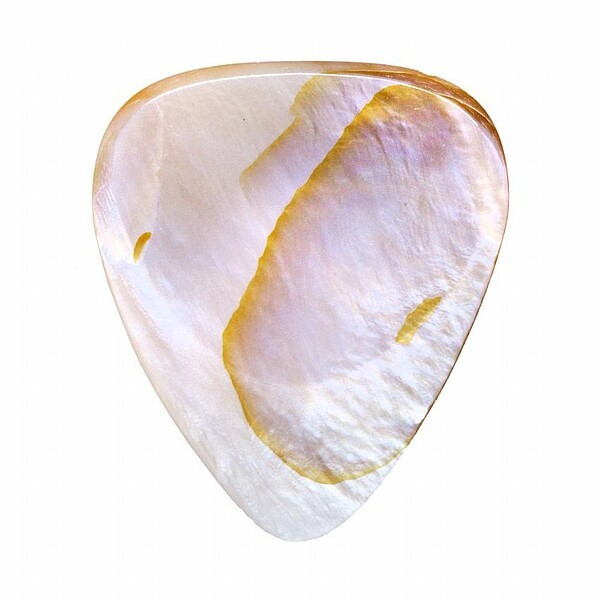 Shell Tones Mussel Shell